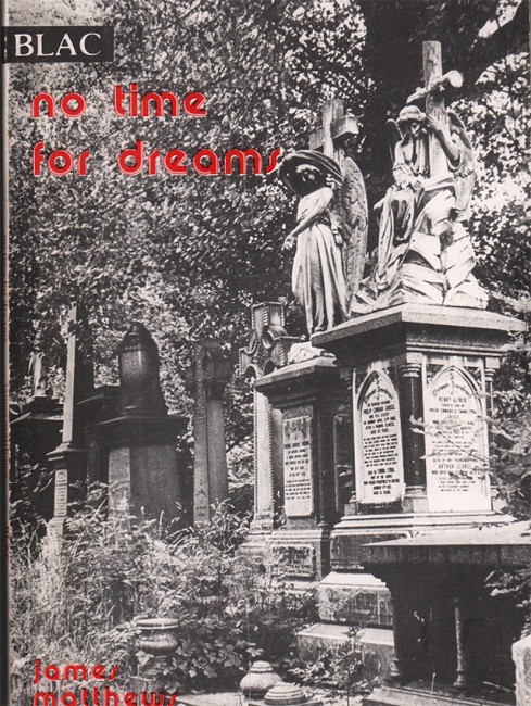 No Time for Dreams by James Matthews