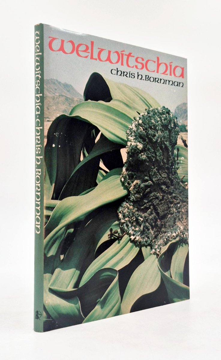 Welwitschia by C.H. Bornman