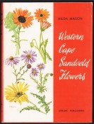 Western Cape Sandveld Flowers