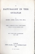 Naturalist in the Guianas by Eugène André, image 2 of 3