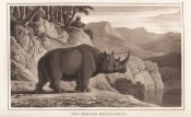 Zoography by William Wood, image 8 of 15