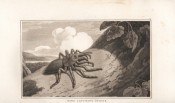 Zoography by William Wood, image 15 of 15