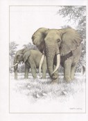 Mammals of the Southern African Subregion (Collectors' Edition), image 4 of 5