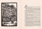Nunku the Porcupine by Esme Lewis, image 3 of 3