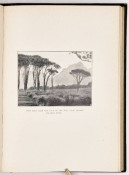 The Biograph in Battle by W. K. L. Dickson, image 5 of 5