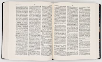 A Dictionary of South African English on Historical Principles by Edited with a Preface by Penny Silva, image 5 of 5