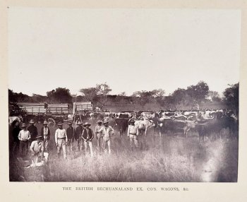 Occupation of Mashonaland by W. Ellerton Fry, image 7 of 18