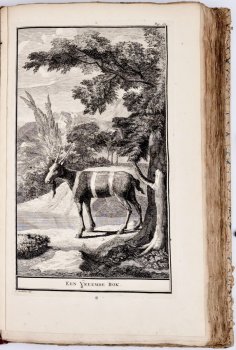 Naaukeurige En Uitvoerige Beschryving Van De Kaap De Goede Hoop by Peter Kolbe, image 10 of 15