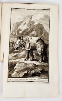 Nieuwe Algemene Beschryving Van Die Kaap De Goede Hoop, image 7 of 11