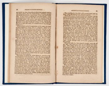 A Voyage to South America and the Cape of Good Hope by Sir George Mouat Keith, image 4 of 4