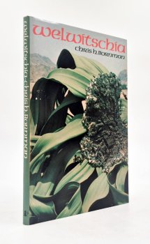Welwitschia by C.H. Bornman, image 1 of 3