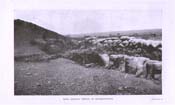 War in South Africa, image 4 of 4